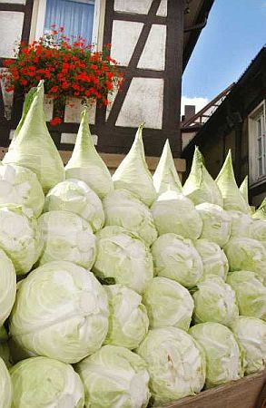 Bild Leinfelden-Echterdingen