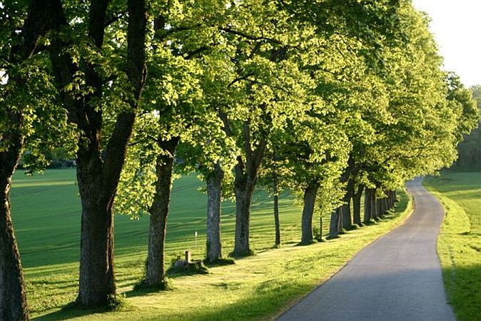 Bild St. Johann (Württemberg)