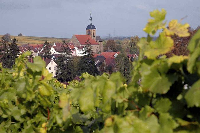 Bild Lauffen am Neckar