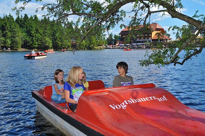 Bild Seebach (Baden)