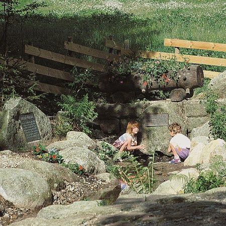 Bild Furtwangen im Schwarzwald