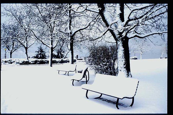 Bild Bodman-Ludwigshafen