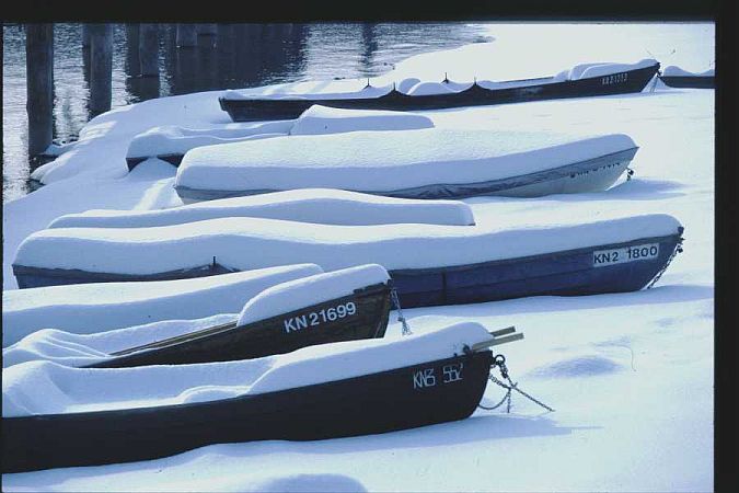 Bild Bodman-Ludwigshafen