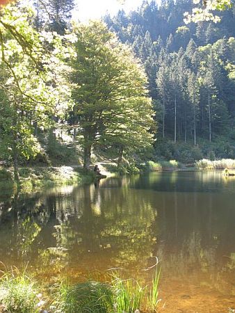 Bild Kleines Wiesental