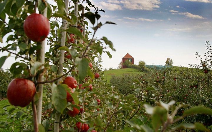 Bild Immenstaad am Bodensee