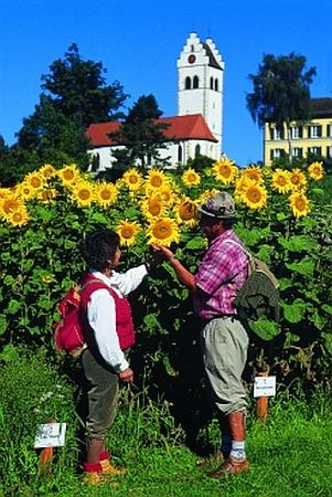 Bild Deggenhausertal