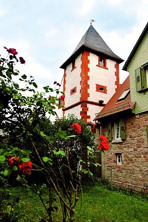 Bild Erbach (Odenwald)