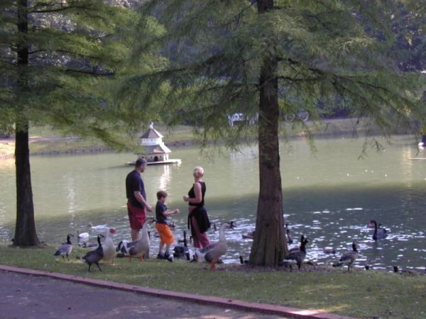 Bild Preußisch Oldendorf