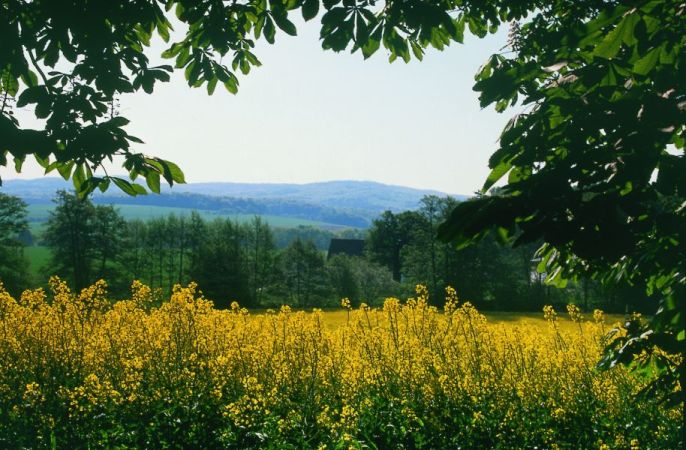 Bild Preußisch Oldendorf